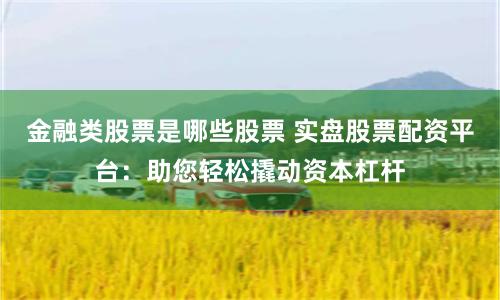 金融类股票是哪些股票 实盘股票配资平台：助您轻松撬动资本杠杆