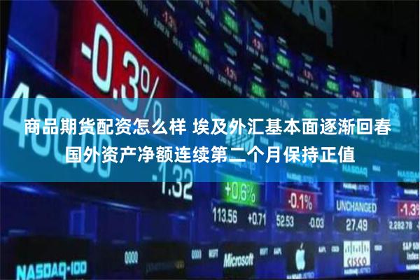 商品期货配资怎么样 埃及外汇基本面逐渐回春 国外资产净额连续第二个月保持正值