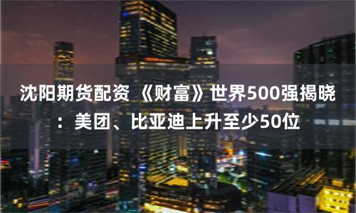 沈阳期货配资 《财富》世界500强揭晓：美团、比亚迪上升至少50位