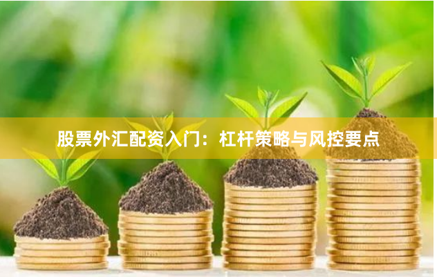 股票外汇配资入门：杠杆策略与风控要点