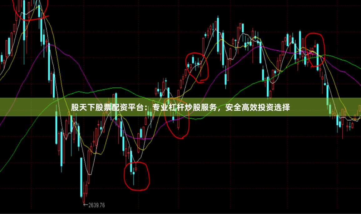 股天下股票配资平台：专业杠杆炒股服务，安全高效投资选择