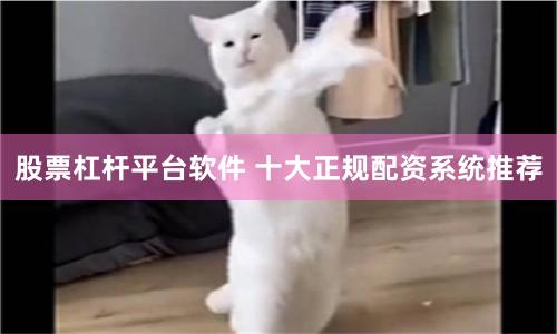 股票杠杆平台软件 十大正规配资系统推荐